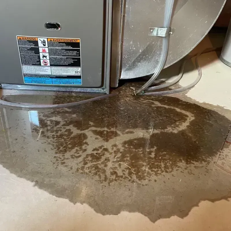 Appliance Leak Cleanup in Menands, NY